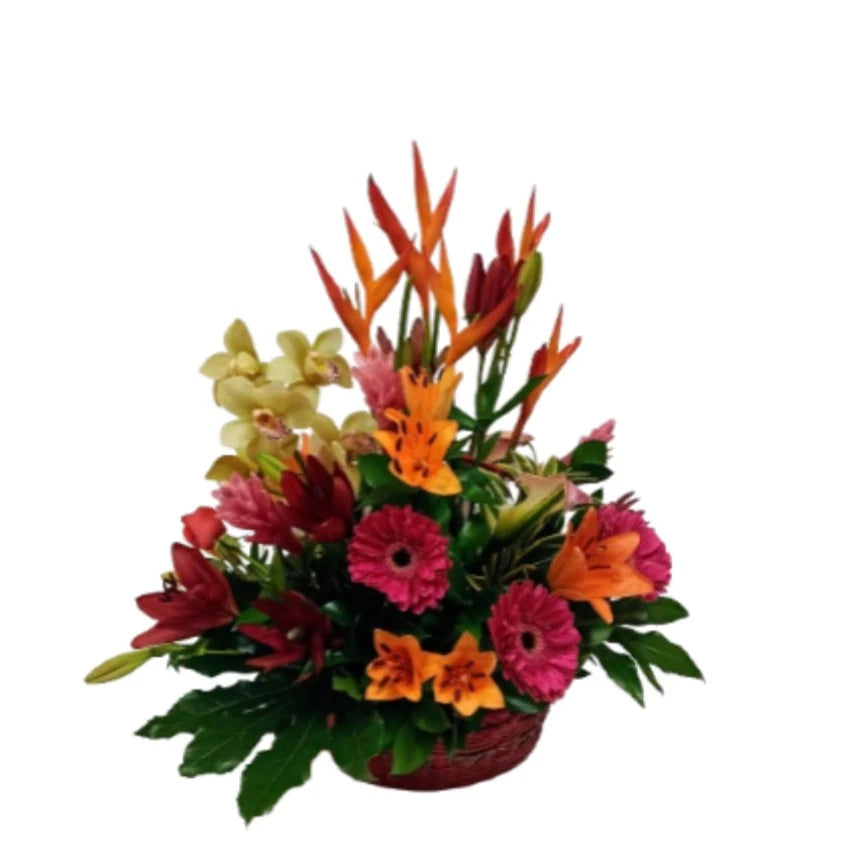 Arreglo floral. Canastilla exótica TO2-2