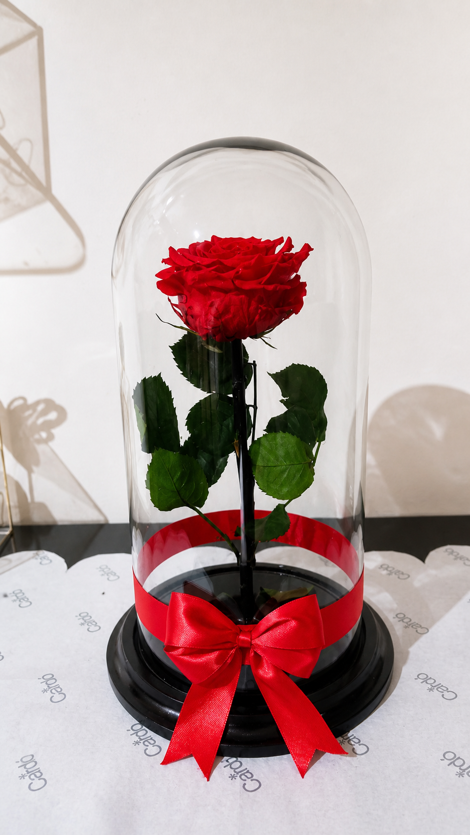 Rosa preservada