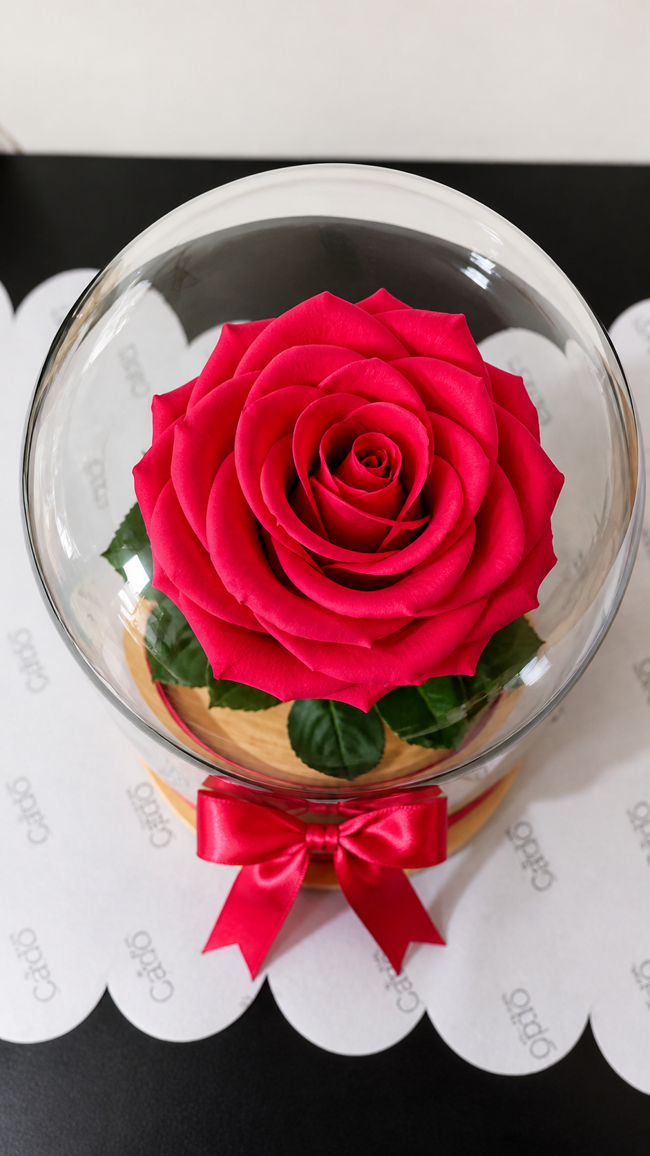 Rosa preservada