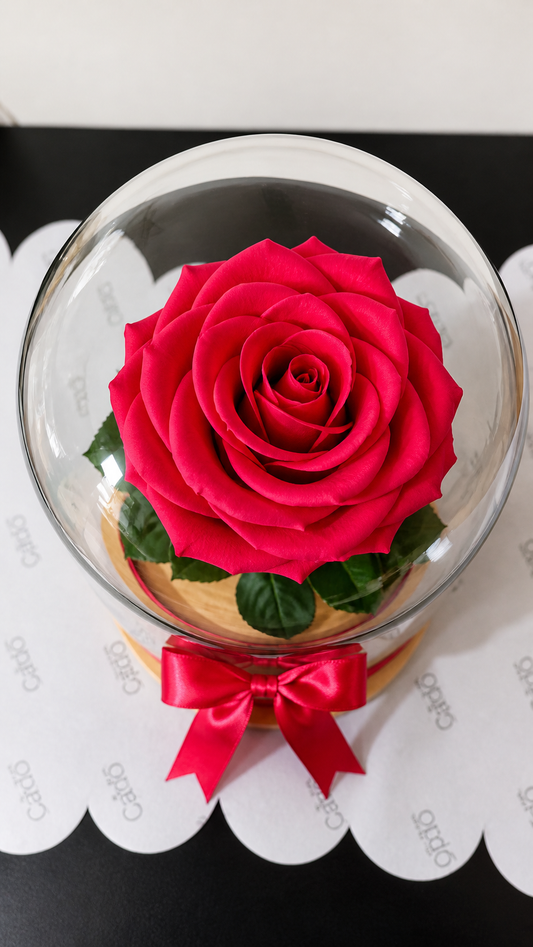 Rosa preservada