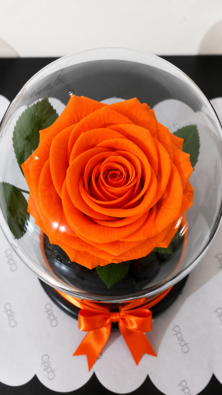Rosa preservada