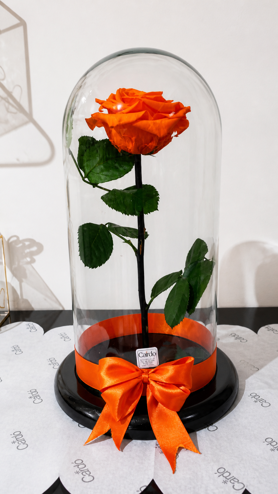 Rosa preservada