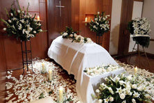 Pétalos eternos