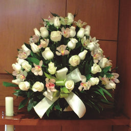 Fundamento de rosas