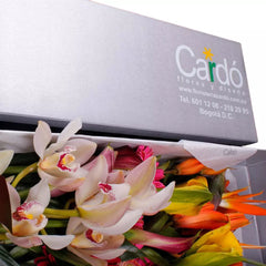 Caja de flores exóticas a domicilio en Bogotá