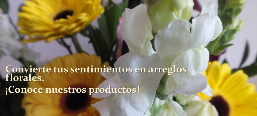 Adv Banner